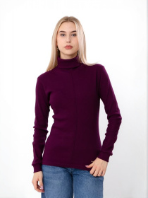 Жіноча водолазка однотонна у рубчик, Баклажанний Носи Своє (8421-019) модель 8421-019-baklazhan Жіноча водолазка однотонна у рубчик, Баклажанний Носи Своє (8421-019) модель 8421-019-baklazhan Фото