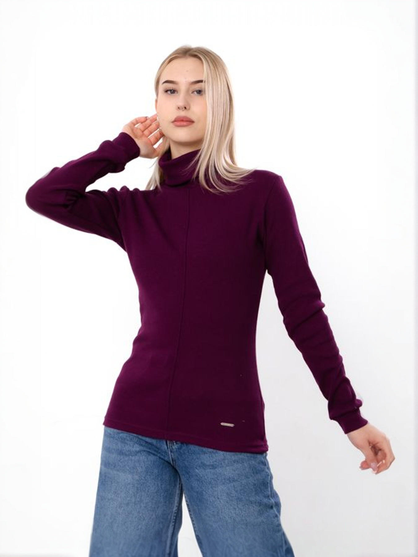 Водолазка Носи своє модель 8421-019-baklazhan Водолазка Носи своє модель 8421-019-baklazhan Фото