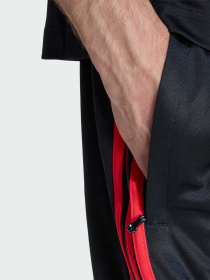 Шорты Teamgeist Adicolor модель KD5871 Фото