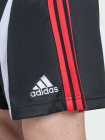 Повседневные шорты Adidas Adicolor модель KD5871 Повседневные шорты Adidas Adicolor модель KD5871 Фото