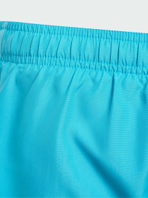 Шорты для плавания Adidas модель JD8019 Шорты для плавания Adidas модель JD8019 Фото