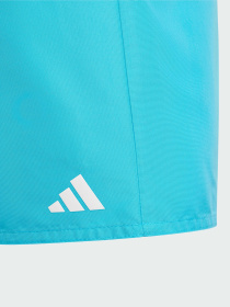 Шорты для плавания Adidas модель JD8019 Шорты для плавания Adidas модель JD8019 Фото