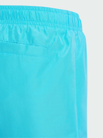 Шорты для плавания Adidas модель JD8019 Шорты для плавания Adidas модель JD8019 Фото