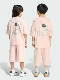 Комплект: футболка та шорти TIRO_NSTER модель KE2664 Комплект: футболка та шорти TIRO_NSTER модель KE2664 Фото