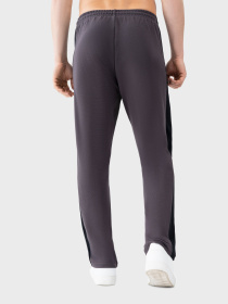 Спортивний костюм AVECS модель 50617-17 Спортивний костюм AVECS модель 50617-17 Фото