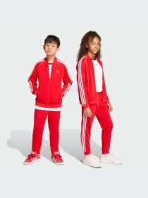 Брюки Adidas Adicolor модель KE2861-KZ Фото