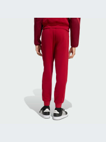 Брюки Adidas ZNE модель KE4685-KZ Фото