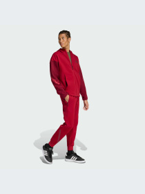 Брюки Adidas ZNE модель KE4685-KZ Фото