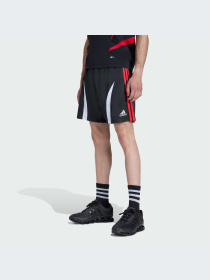 Шорты Adidas Adicolor модель KD5871-KZ Фото
