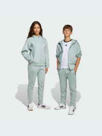 Брюки Adidas ZNE модель KC1931-KZ Фото