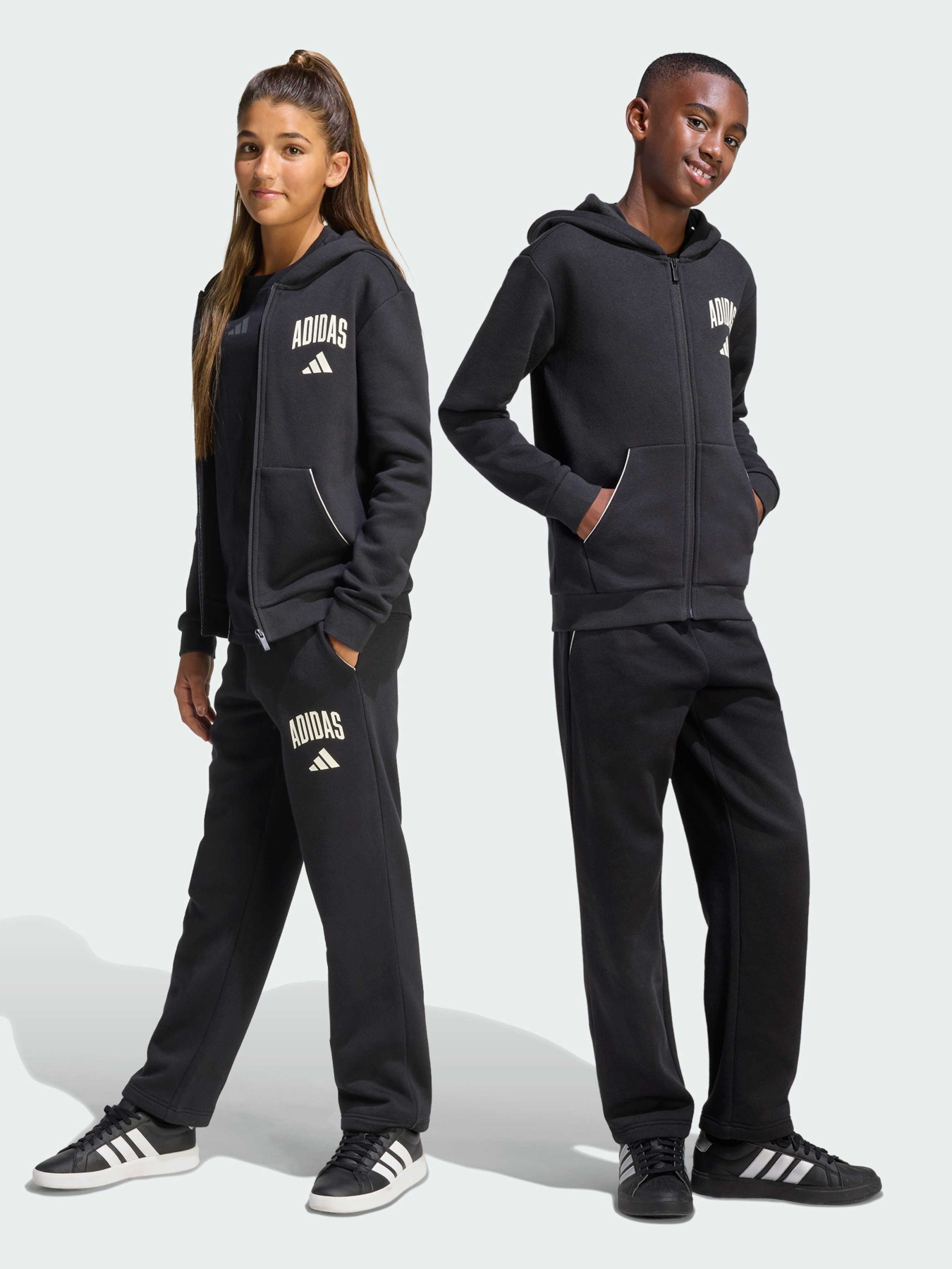 Брюки повседневные Adidas модель KC4573 Фото