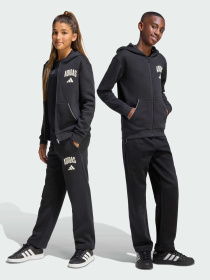 Повсякденні штани Adidas модель KC4573 Фото