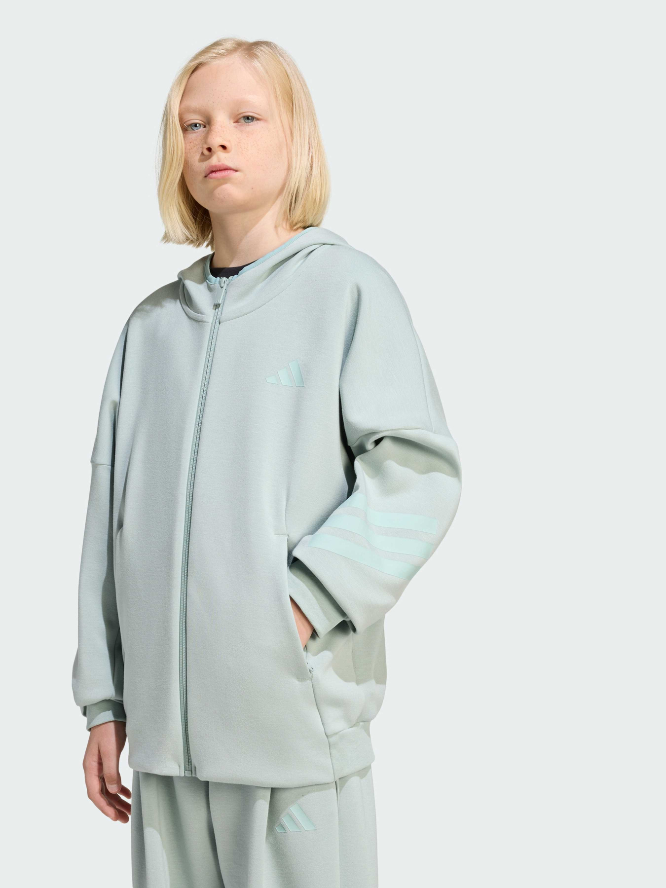 Толстовка FUTURE ICONS 3 STRIPES FULL ZIP модель KS2573 Фото