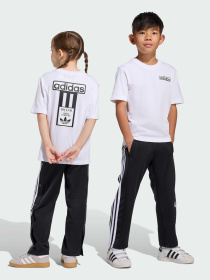 Повседневный костюм Adidas Adicolor модель KD3990 Фото