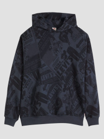 Худі Levi's модель 0065D;0000 Фото