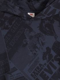 Худі Levi's модель 0065D;0000 Фото