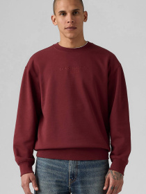 Свитшот Levi's модель 38712;0385 Свитшот Levi's модель 38712;0385 Фото