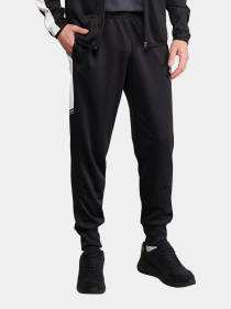 Спортивные штаны мужские ELITE PLUS PANT PL модель 216575_1CL Спортивные штаны мужские ELITE PLUS PANT PL модель 216575_1CL Фото