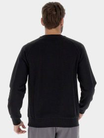 Реглан мужской MSC SWEAT RN III модель 219882_1CL Реглан мужской MSC SWEAT RN III модель 219882_1CL Фото