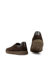 Кеди низькі Alex Bell модель 1175803 Кеди низькі Alex Bell модель 1175803 Фото