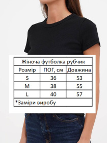 Футболка HiBrand модель Wm278 Фото