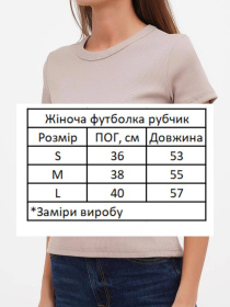 Футболка HiBrand модель Wm279 Фото