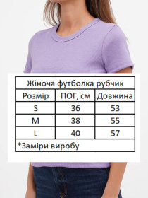 Футболка HiBrand модель Wm284 Фото