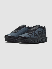 Кроссовки мужские Nike Air Max Plus Prm (IB2253-001) модель IB2253-001 Фото