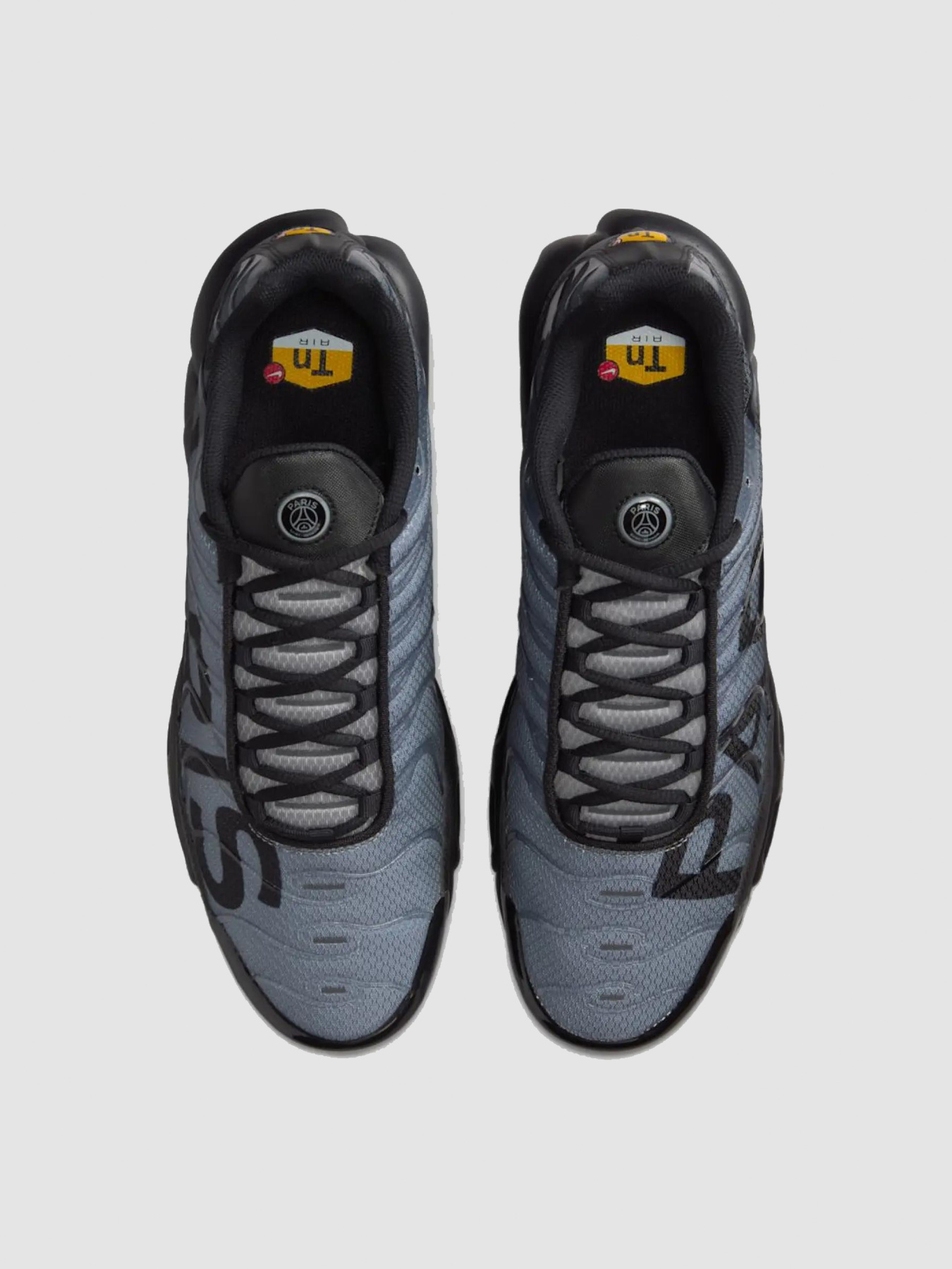 Кроссовки повседневные NIKE Air Max Plus Prm модель IB2253-001 Фото