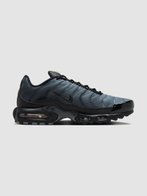 Кроссовки повседневные NIKE Air Max Plus Prm модель IB2253-001 Фото