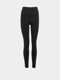 Giulia Женские бесшовные леггинсы с высокой посадкой FLEXING LEGGINGS ACTIVE модель UP-00003264 Фото