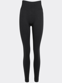 Giulia Женские бесшовные леггинсы с push-up эффектом и контрастным поясом FLEXING LEGGINGS GLAM модель UP-00003265 Фото