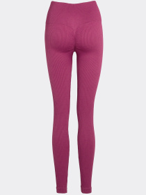 Giulia Женские бесшовные леггинсы в рубчик с моделирующим швом FLEXING LEGGINGS POWER модель UP-00003266 Фото