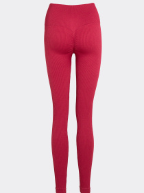 Giulia Женские бесшовные леггинсы в рубчик с моделирующим швом FLEXING LEGGINGS POWER модель UP-00003266 Фото