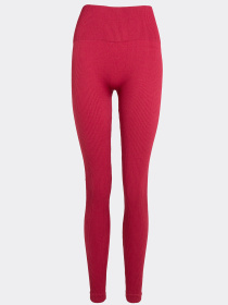 Giulia Женские бесшовные леггинсы в рубчик с моделирующим швом FLEXING LEGGINGS POWER модель UP-00003266 Фото