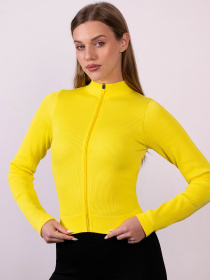 Giulia Женский лонгслив на молнии в рубчик Flex longsleeve "Bare" L96 модель UP-00003333 Giulia Женский лонгслив на молнии в рубчик Flex longsleeve "Bare" L96 модель UP-00003333 Фото