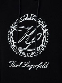 Мужское черное худи модель 534910.705434;990 Фото