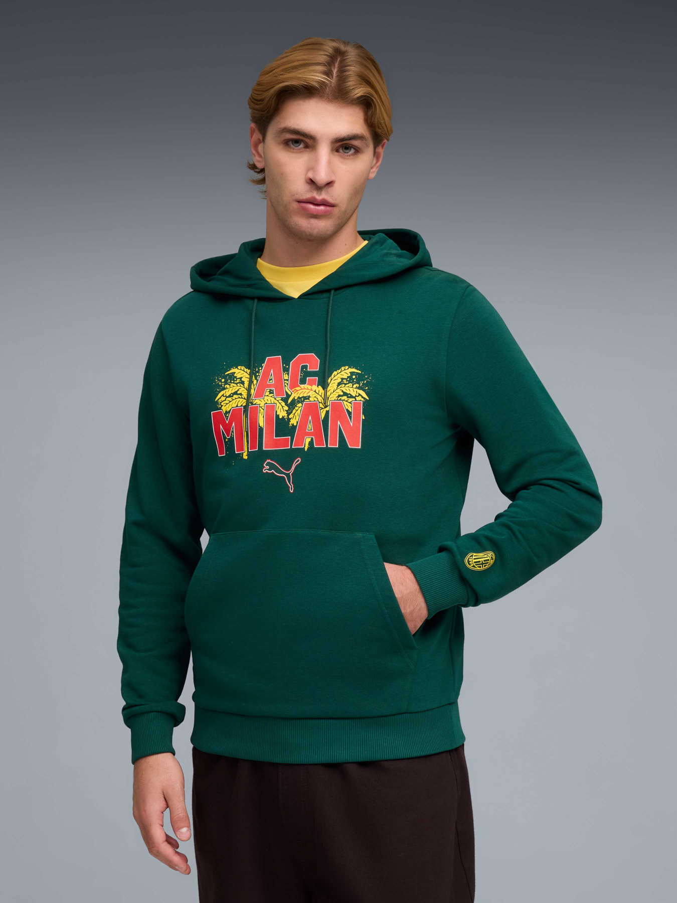 Худи PUMA Acm Ftblculture Hoodie модель 784720 Фото