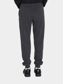 Спортивные штаны женские Lotto MSC W PANT MEL модель 217959_9Y7 Фото