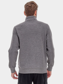 Спортивная кофта мужская Lotto MSC SWEAT FZ MEL модель 217949_P73 Спортивная кофта мужская Lotto MSC SWEAT FZ MEL модель 217949_P73 Фото