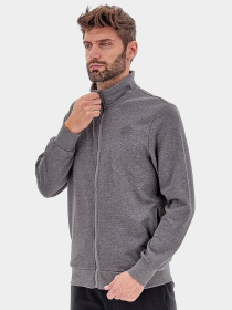 Спортивная кофта мужская Lotto MSC SWEAT FZ MEL модель 217949_P73 Спортивная кофта мужская Lotto MSC SWEAT FZ MEL модель 217949_P73 Фото
