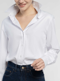 Рубашка повседневная Arber модель W05.12.00.615 Фото