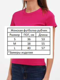 Футболка HiBrand модель Wm285 Фото