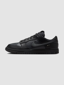 Кроссовки мужские Nike Dunk Low Gore-Tex (HQ2053-001) модель HQ2053-001 Фото