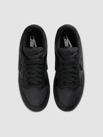 Кроссовки мужские Nike Dunk Low Gore-Tex (HQ2053-001) модель HQ2053-001 Фото