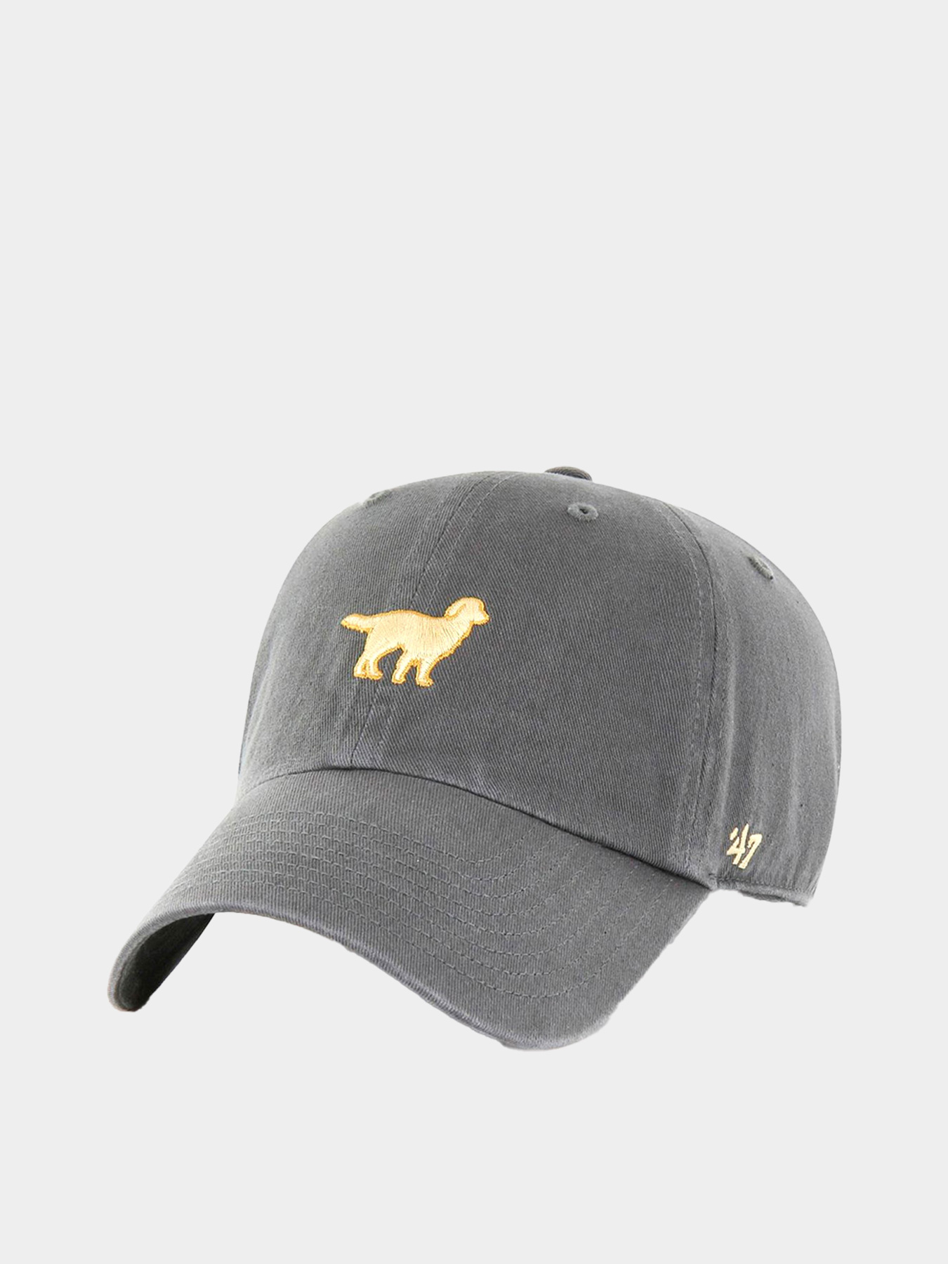 Кепка 47 Brand DOG BASE RUNNER ICON модель BSRIC284GWS-CCD Фото