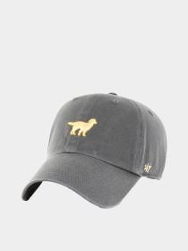 Кепка 47 Brand модель BSRIC284GWS-CCD Фото