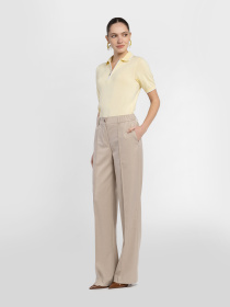 Штани повсякденні Arber модель W01.01.16.611 Фото