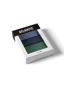 Набор трусов Atlantic модель 3MH-011_DENJ_IND_ZIEC Фото