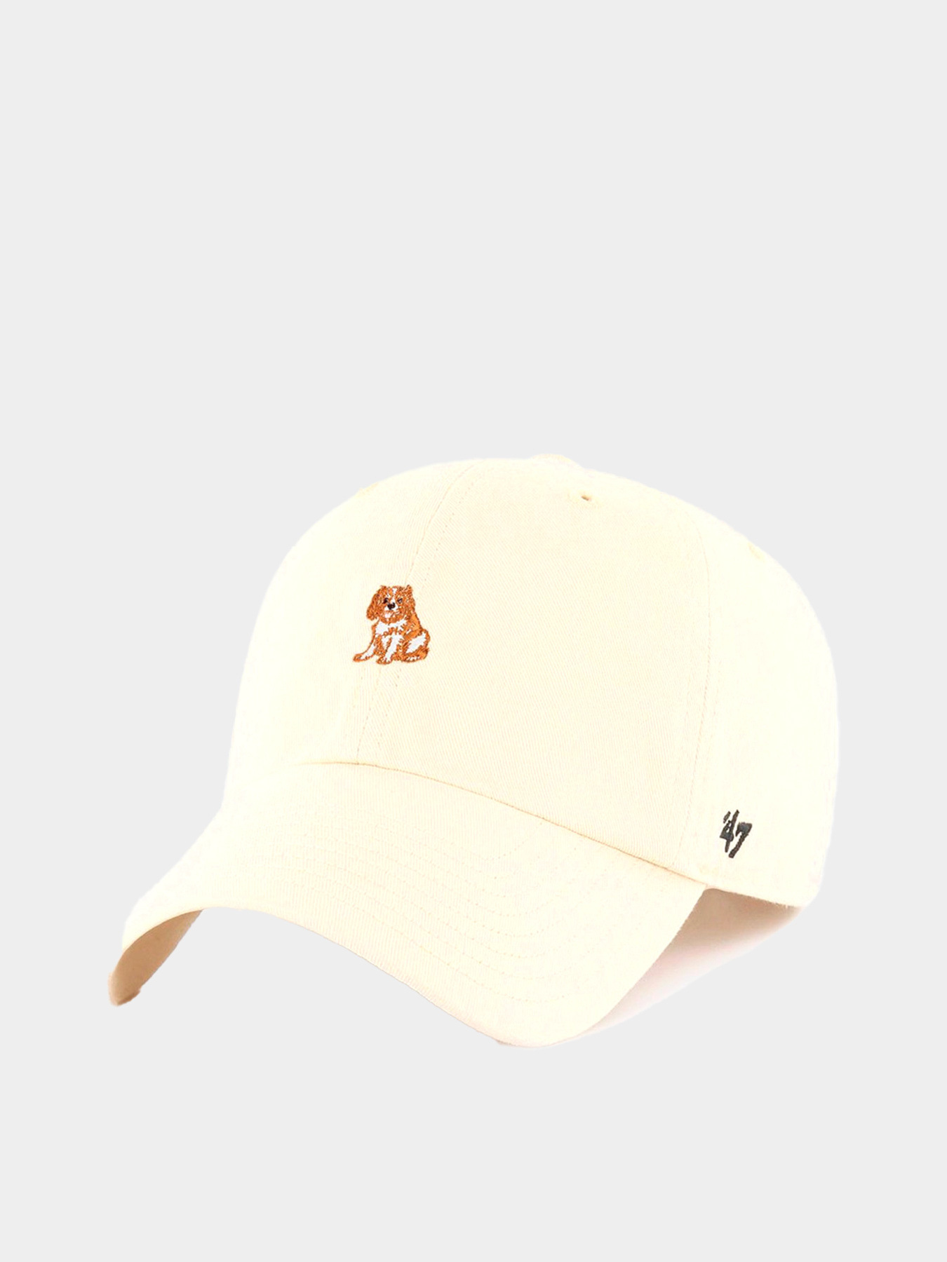 Кепка 47 Brand модель BSRIC1411GWS-NTI Фото